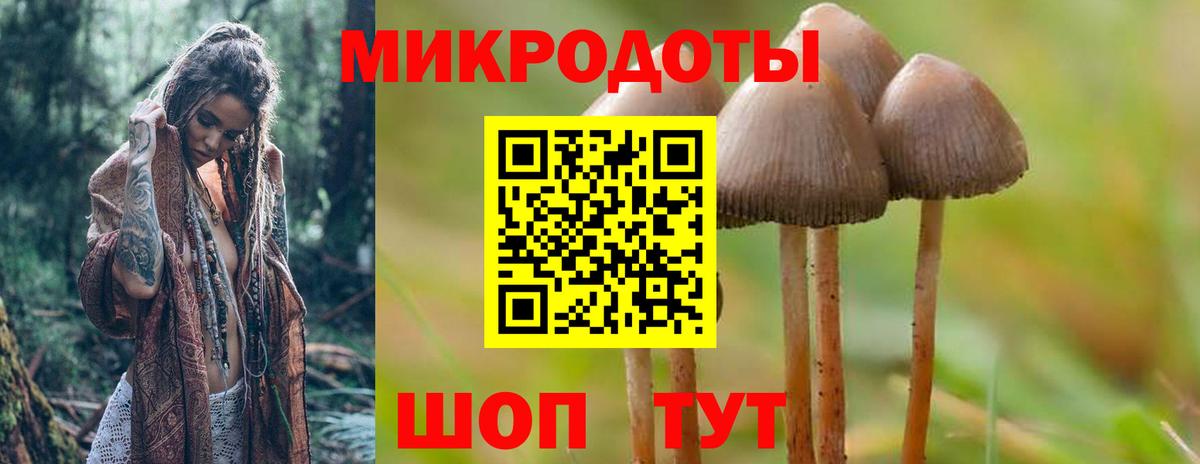 Муром  Псилоцибиновые грибы прущие грибы  Вход с VPN 